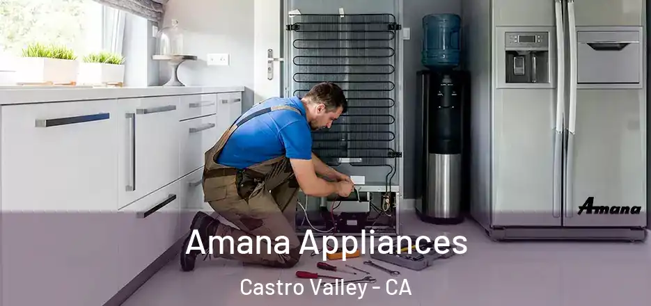 Amana Appliances Castro Valley - CA