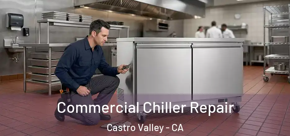 Commercial Chiller Repair Castro Valley - CA