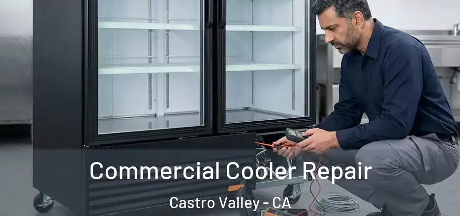 Commercial Cooler Repair Castro Valley - CA