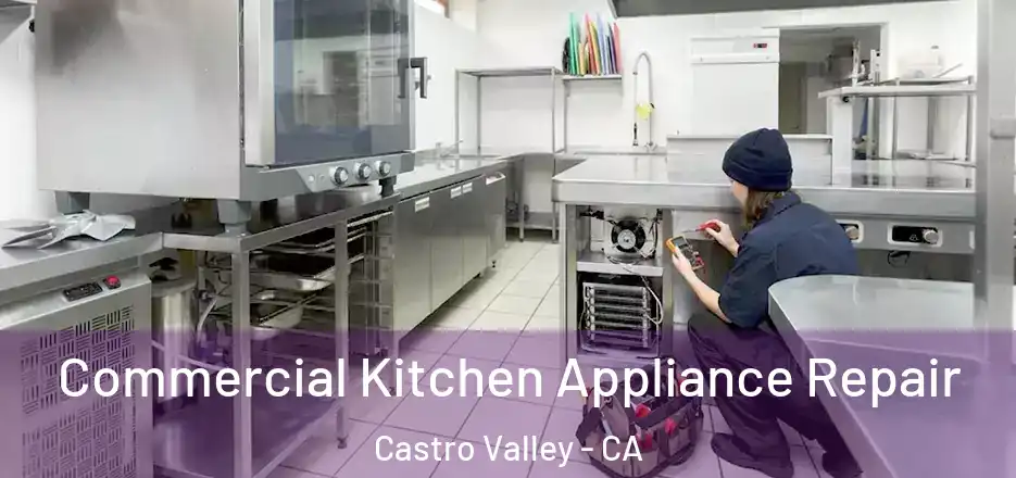 Commercial Kitchen Appliance Repair Castro Valley - CA