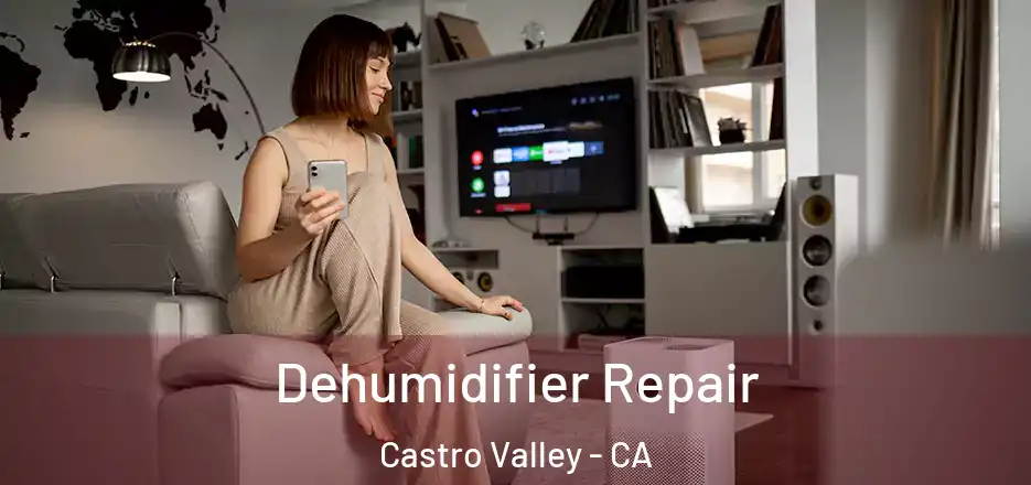 Dehumidifier Repair Castro Valley - CA