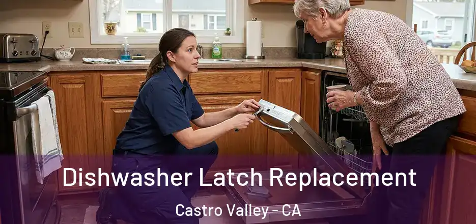 Dishwasher Latch Replacement Castro Valley - CA