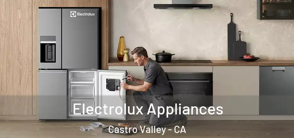 Electrolux Appliances Castro Valley - CA