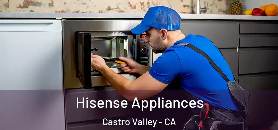 Hisense Appliances Castro Valley - CA