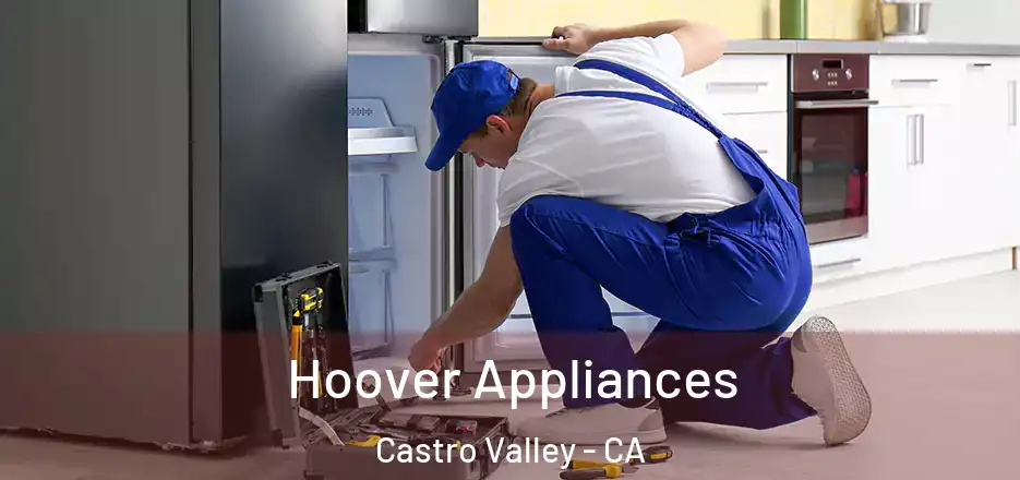 Hoover Appliances Castro Valley - CA