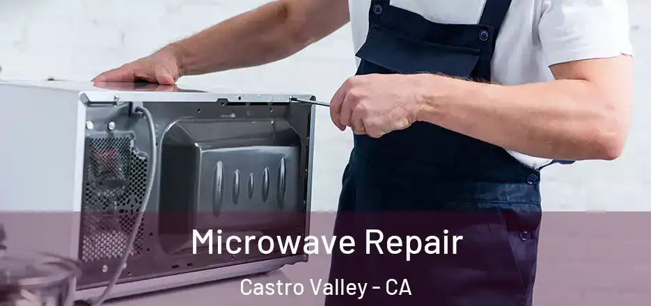 Microwave Repair Castro Valley - CA