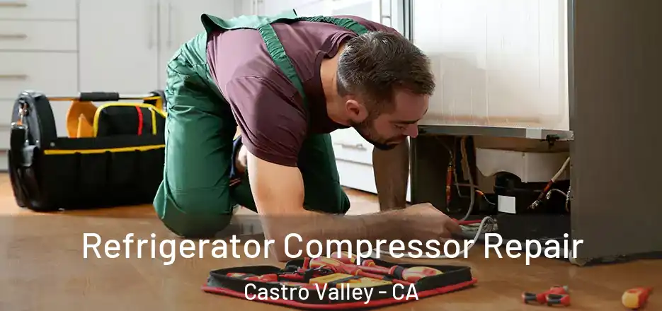 Refrigerator Compressor Repair Castro Valley - CA