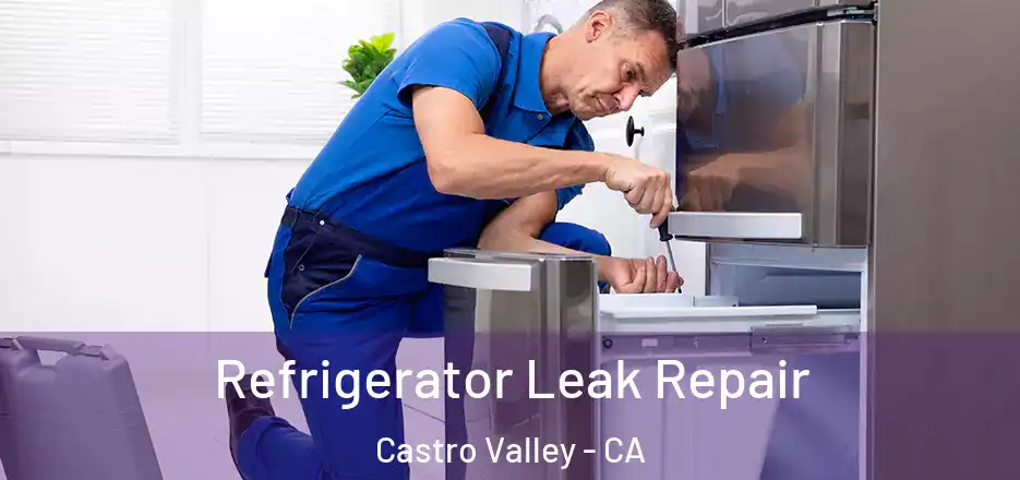 Refrigerator Leak Repair Castro Valley - CA