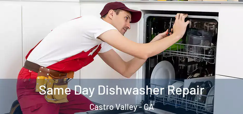 Same Day Dishwasher Repair Castro Valley - CA