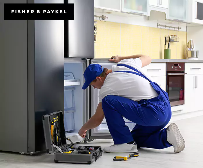 Top-Rated Fisher & Paykel Appliance Experts: Your Brand Specialist in Castro Valley, CA