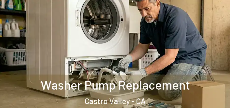 Washer Pump Replacement Castro Valley - CA