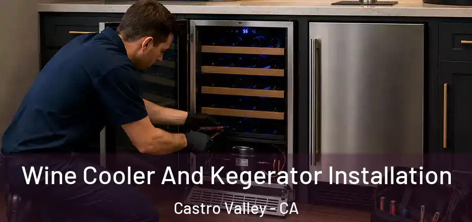Wine Cooler And Kegerator Installation Castro Valley - CA